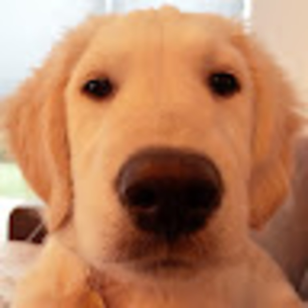 Meet your Posher, Kiriana